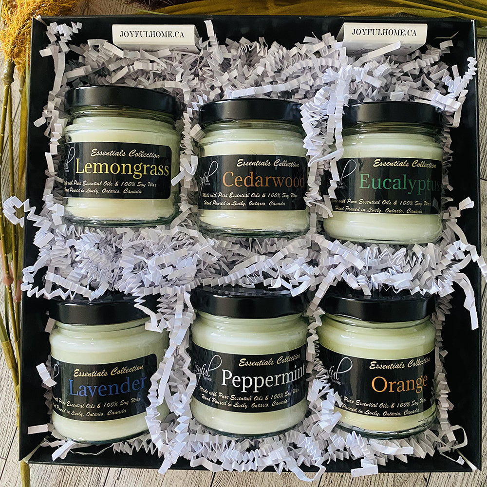 Essentials Collection Sample Pack