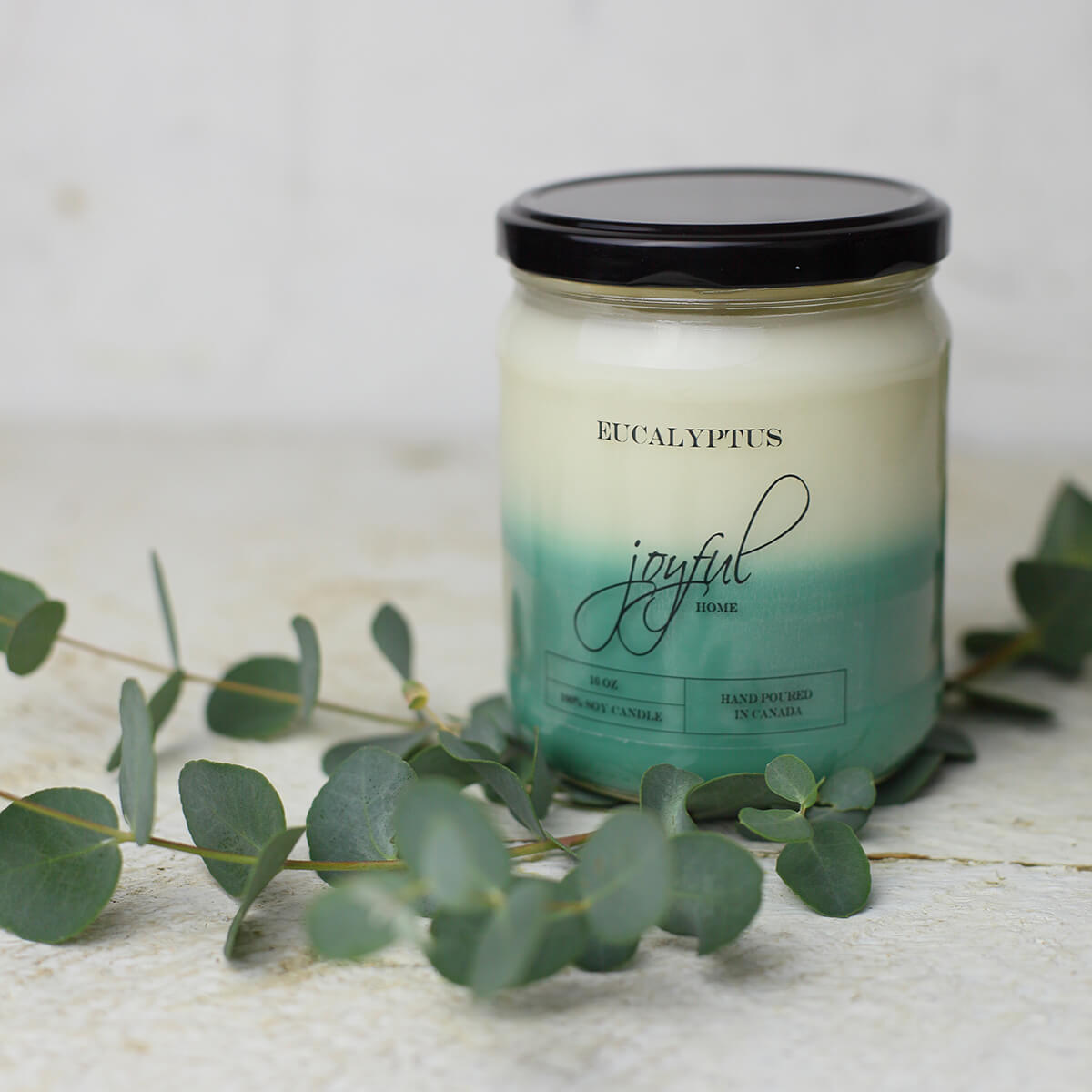 Eucalyptus 16oz Soy Wax Candle