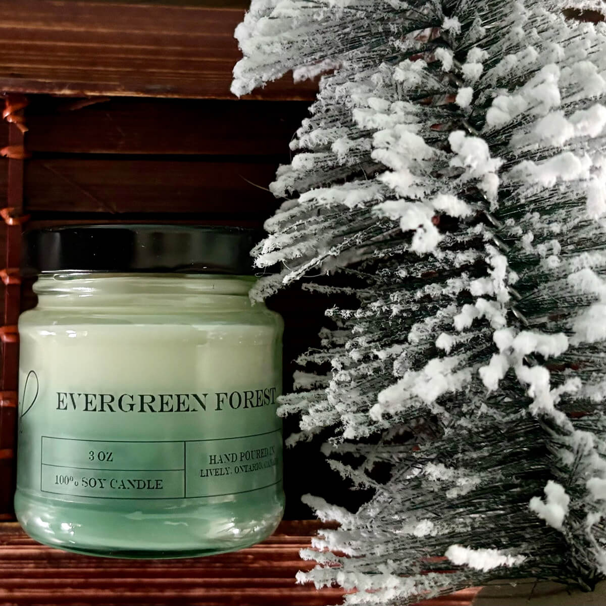 Evergreen Forest 3oz Soy Wax Candle