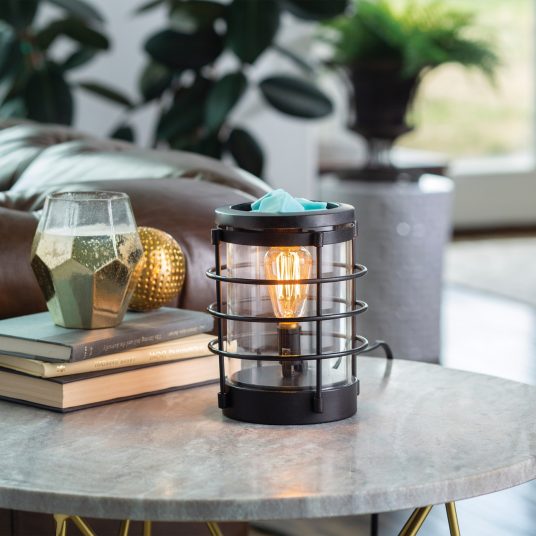 Coastal Illumination Fragrance Warmer (vintage style bulb)