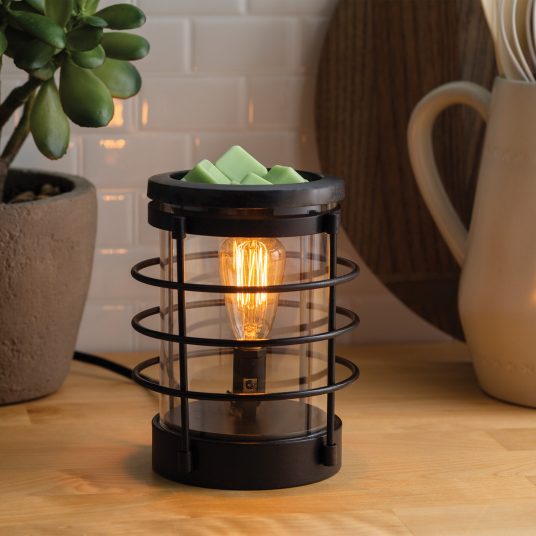 Coastal Illumination Fragrance Warmer (vintage style bulb)