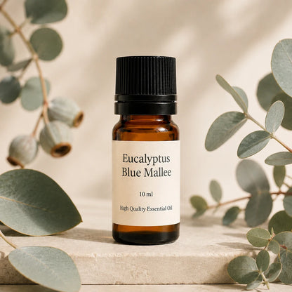 Joyful Home Eucalyptus Blue Mallee Essential Oil