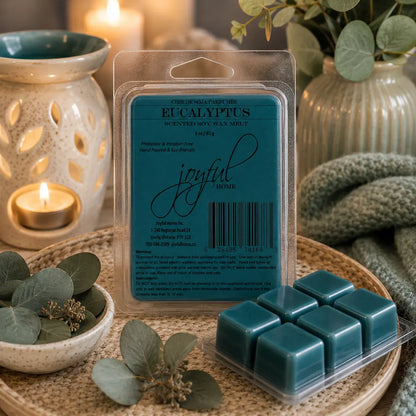Joyful Home Eucalyptus Soy Wax Melt Scene