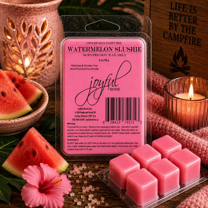 Joyful Home Watermelon Slushie Soy Wax Melt Scene