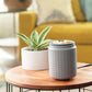 Gray Hobnail Wax Warmer with Silicone Dish